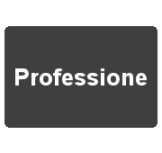 Professione